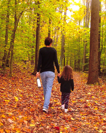 An adult and a child walk hand in hand in a forest.