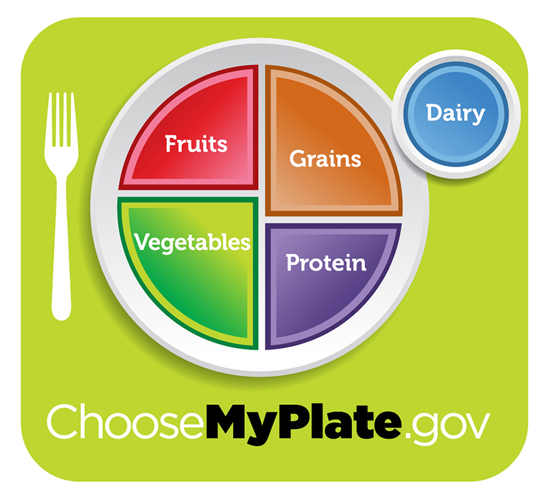 Healthy diet logo shows a plate divided into four sections, labeled “fruits”, “vegetables” “grains,” and “protein”. The vegetables section is slightly larger than the other three. A circle to the side of the plate is labeled “dairy”. Beneath the plate is the web address “Choose My Plate dot gov”.