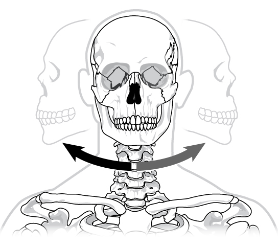 Illustration shows a human skull twisting back and forth on the neck in a pivot-like motion.