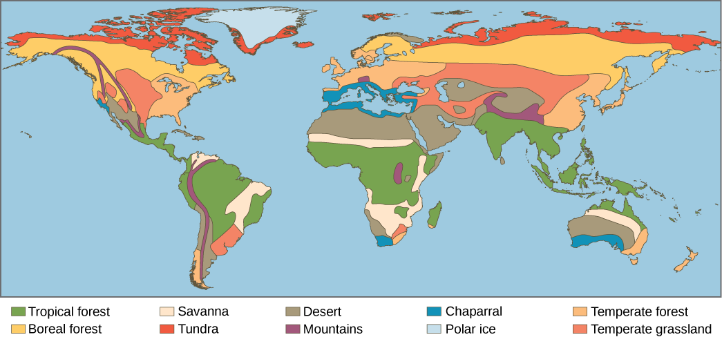  This world map shows the eight major biomes, polar ice, and mountains. Tropical forests, deserts and savannas are found primarily in South America, Africa, and Australia. Tropical forests also dominate Southeast Asia. Deserts dominate the Middle East and are found in the southwestern United States. Temperate forests dominate the eastern United States, Europe, and Eastern Asia. Temperate grasslands dominate the midwestern United States and parts of Asia, and are also found in South America. The boreal forest is found in northern Canada, Europe, and Asia, and tundra exists to the north of the boreal forest. Mountainous regions run the length of North and South America, and are found in northern India, Africa, and parts of Europe. Polar ice covers Greenland and Antarctica, which the latter is not shown on the map.