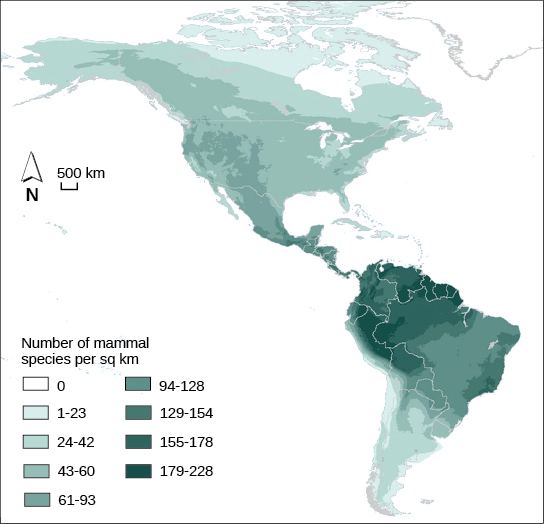 Map shows the special distribution of mammal species richness in North and South America. The highest number of mammal species, 179-228 per square kilometer, occurs in the Amazon region of South America. Species richness is generally highest in tropical latitudes, and then decreases to the north and south, with zero species in the Arctic regions.