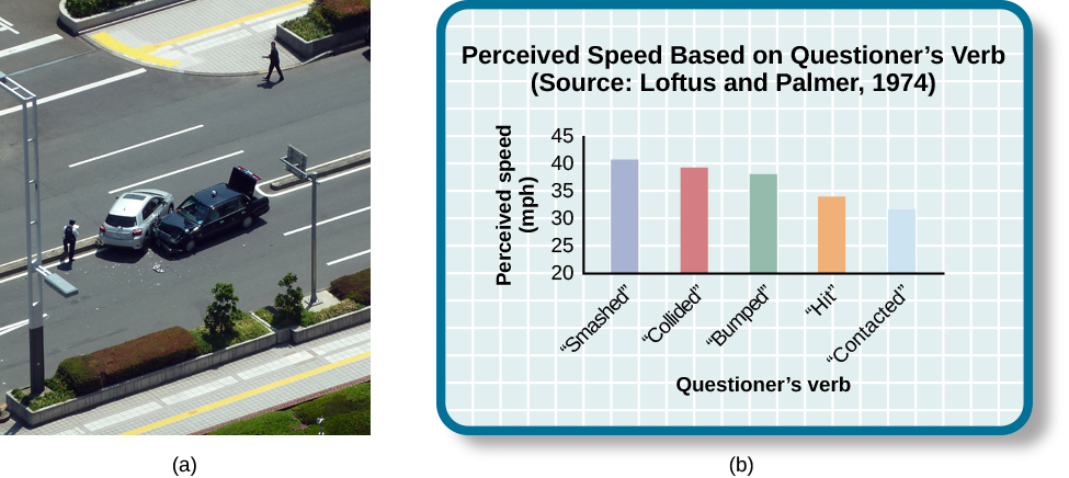 Photograph A shows two cars that have crashed into each other. Part B is a bar graph titled “perceived speed based on questioner’s verb (source: Loftus and Palmer, 1974).” The x-axis is labeled “questioner’s verb, and the y-axis is labeled “perceived speed (mph).” Five bars share data: “smashed” was perceived at about 41 mph, “collided” at about 39 mph, “bumped” at about 37 mph, “hit” at about 34 mph, and “contacted” at about 32 mph.