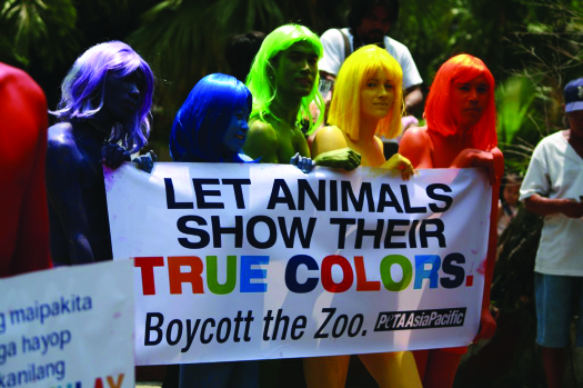An image of a group of six people, each one painted a different color, holding a sign that reads “Let animals show their true colors. Boycott the zoo. Peta Asia Pacific.”.