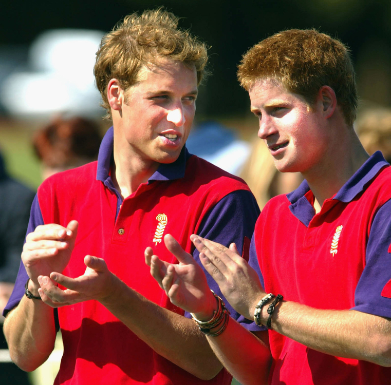 Princes William and Harry of the United Kingdom are shown talking while applauding and wearing brightly colored polo shirts.